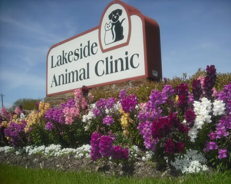 Lakeside Animal Clinic, Texas, Houston